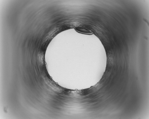 X0000101450188200808041027