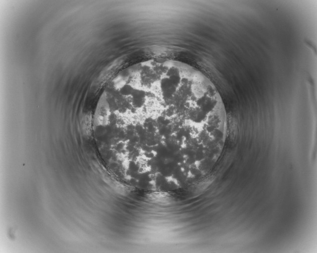 X0000101450189200808041027