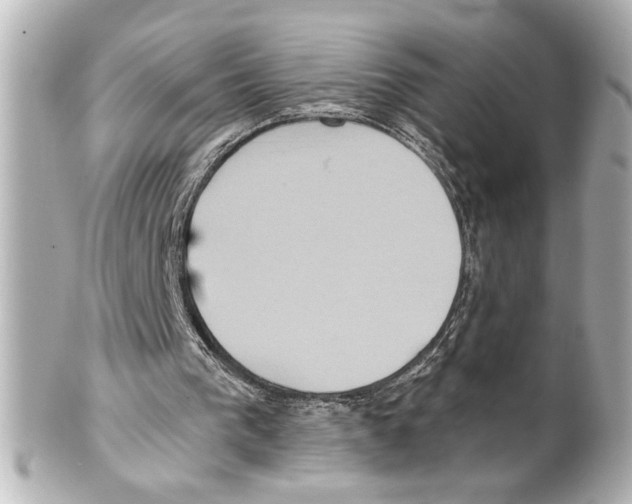 X0000101450193200808041026