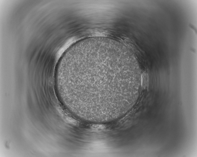 X0000101450195200808041026