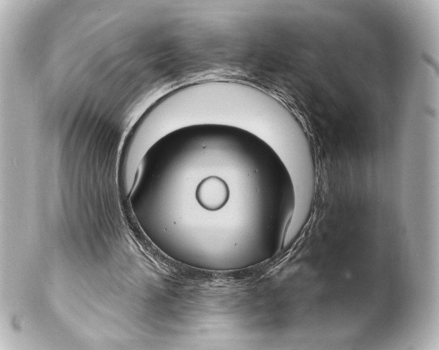 X0000101450196200808041026