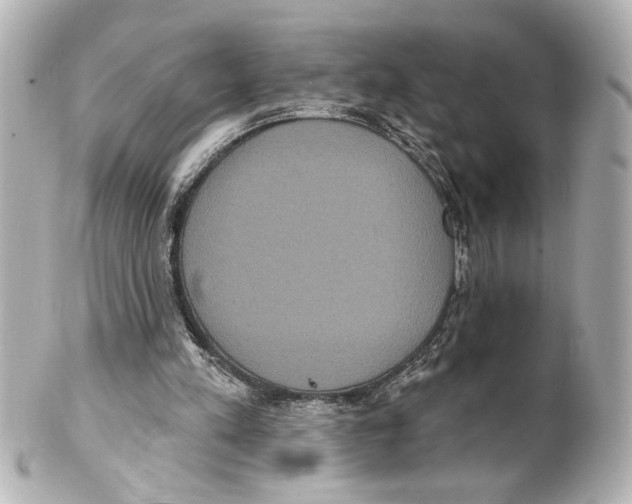 X0000101450197200808041026