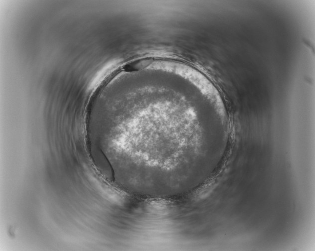 X0000101450199200808041026