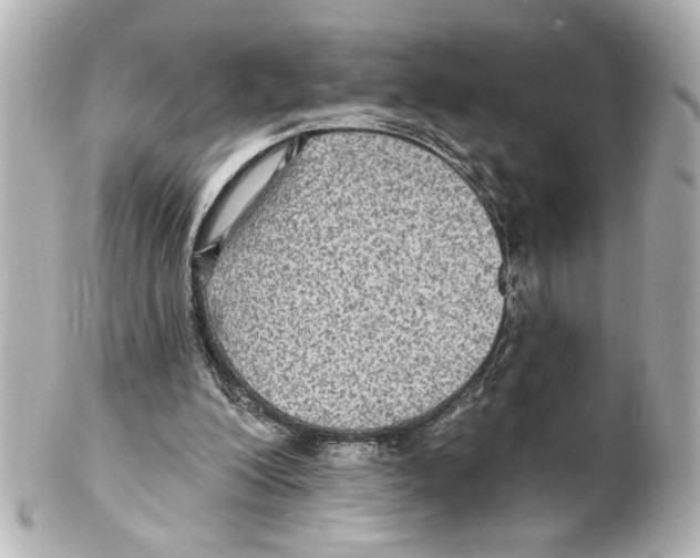 X0000101450200200808041026