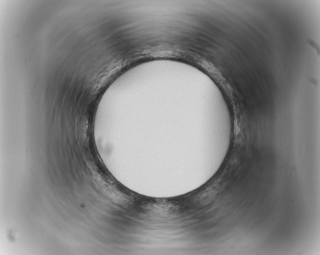 X0000101450201200808041026