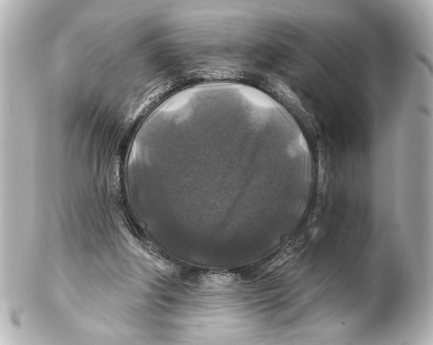 X0000101450202200808041026