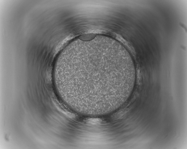 X0000101450203200808041026