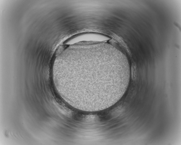 X0000101450204200808041026