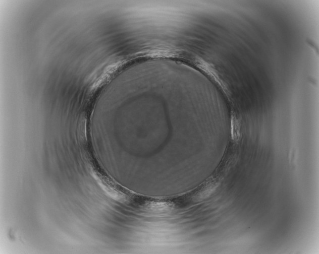 X0000101450205200808041026