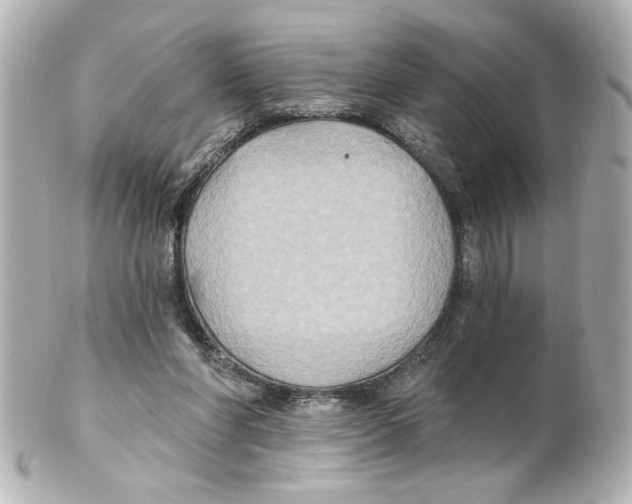 X0000101450206200808041026