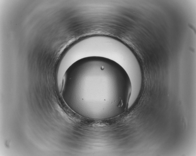 X0000101450208200808041026