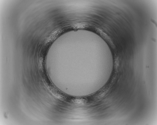 X0000101450209200808041026