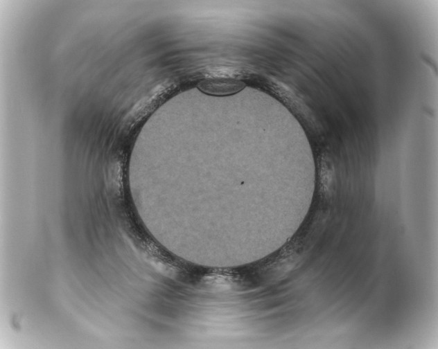 X0000101450211200808041026