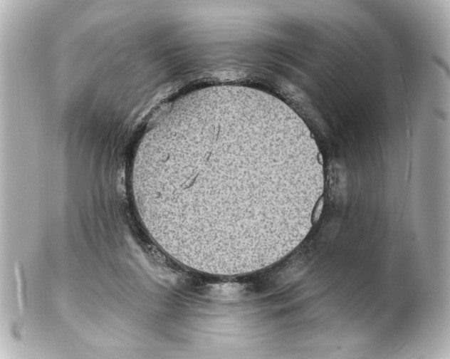 X0000101450212200808041026