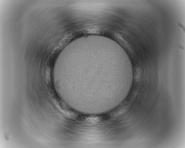 X0000101450213200808041026