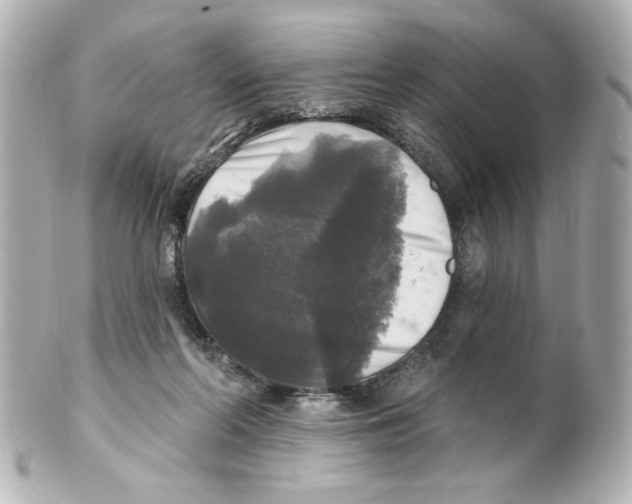 X0000101450214200808041026