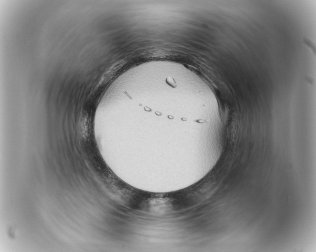 X0000101450216200808041026