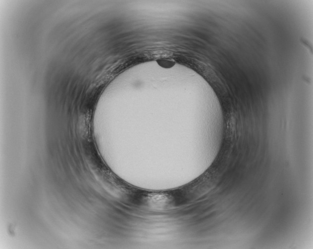 X0000101450218200808041026