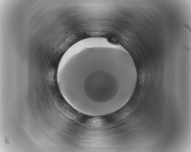 X0000101450219200808041026