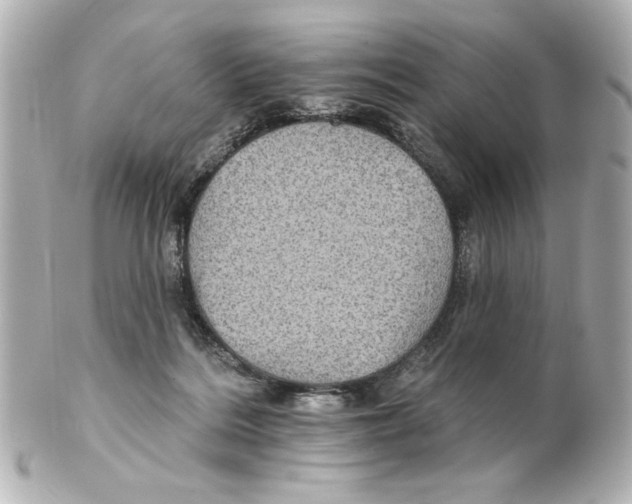 X0000101450220200808041026