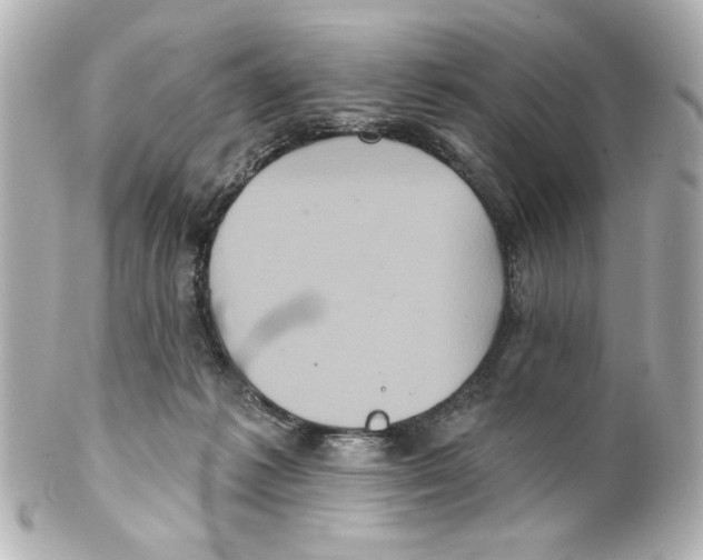 X0000101450221200808041026