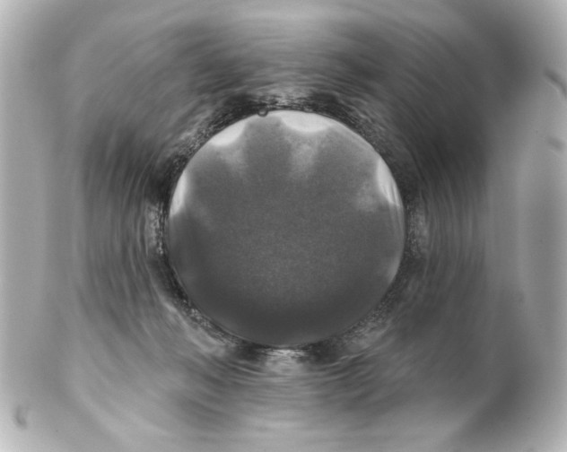 X0000101450222200808041026