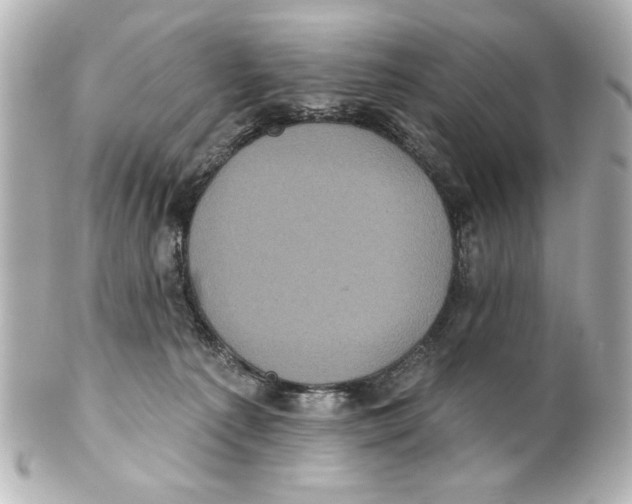 X0000101450225200808041026