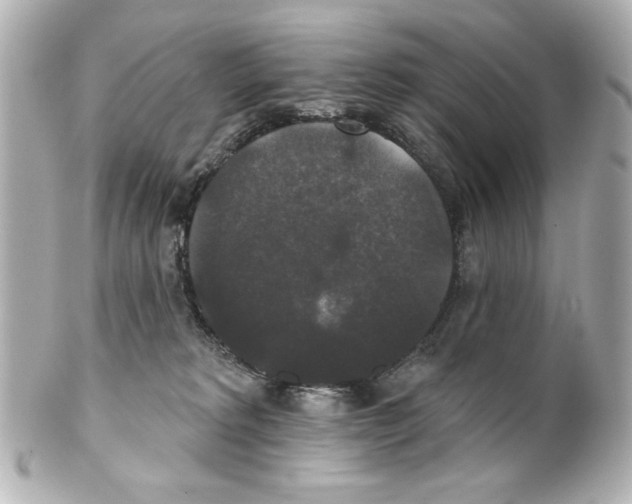 X0000101450229200808041026