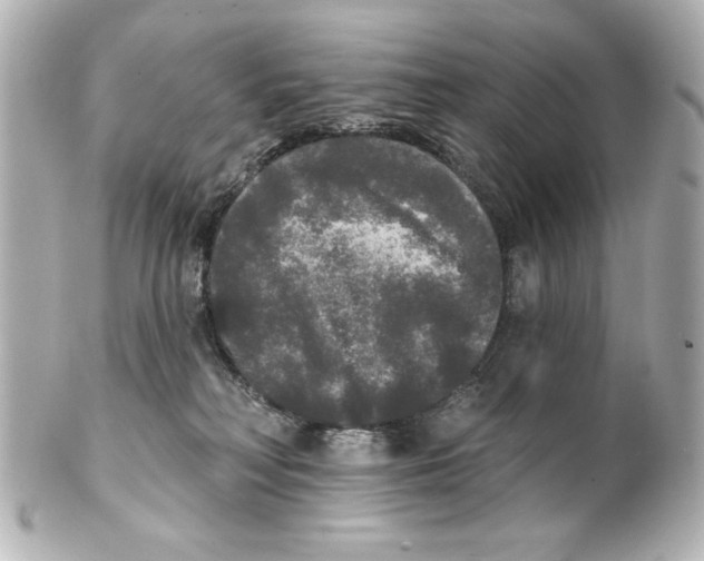 X0000101450230200808041026