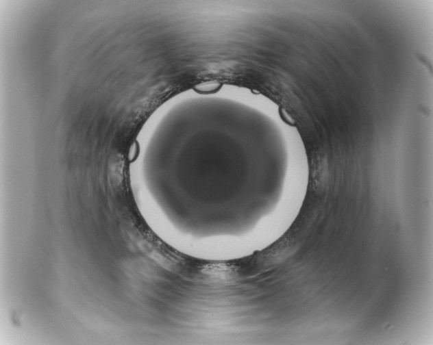 X0000101450231200808041026