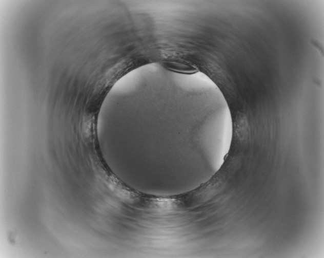 X0000101450233200808041026