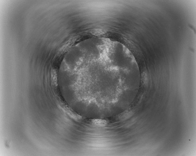 X0000101450234200808041026