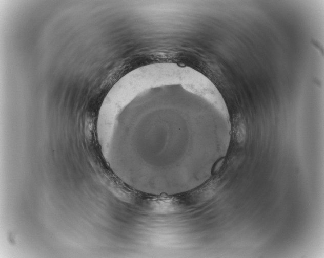 X0000101450235200808041026