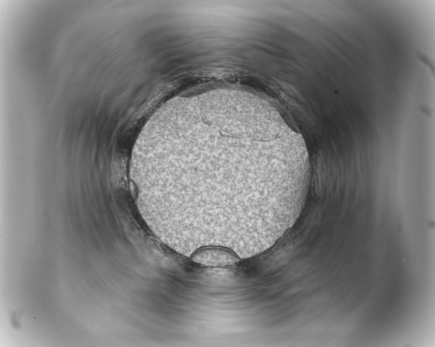 X0000101450236200808041026