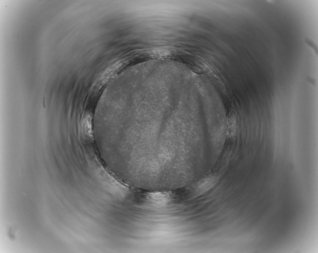 X0000101450238200808041026