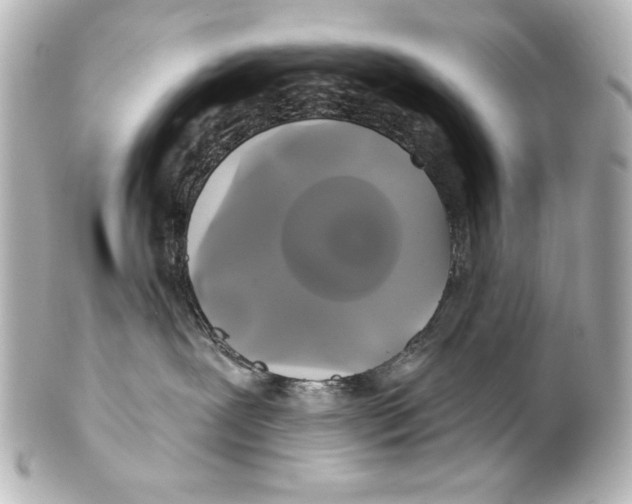 X0000101450239200808041026