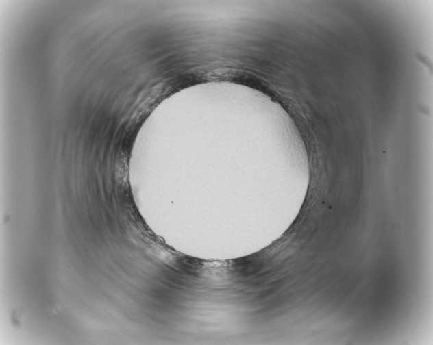 X0000101450240200808041026