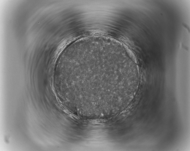 X0000101450241200808041025