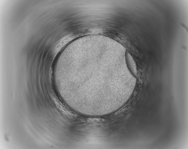 X0000101450242200808041025