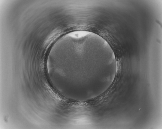 X0000101450243200808041025