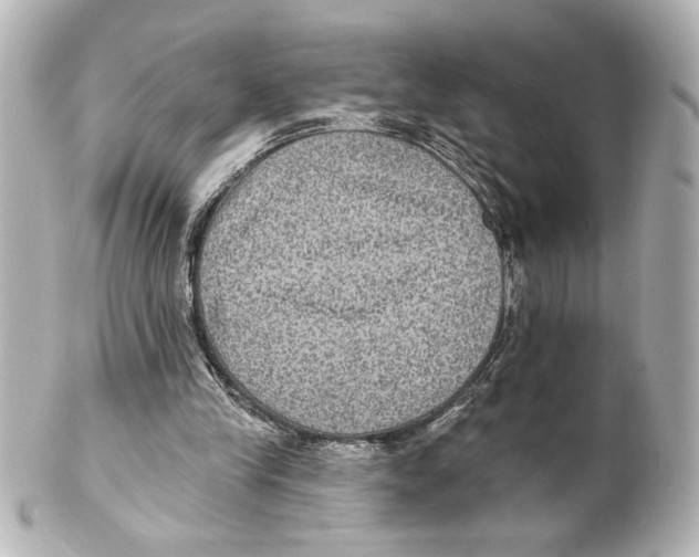 X0000101450245200808041025