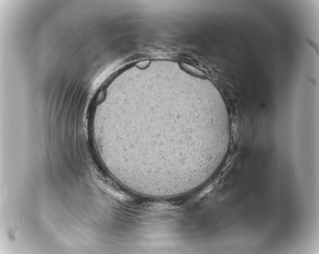 X0000101450246200808041025