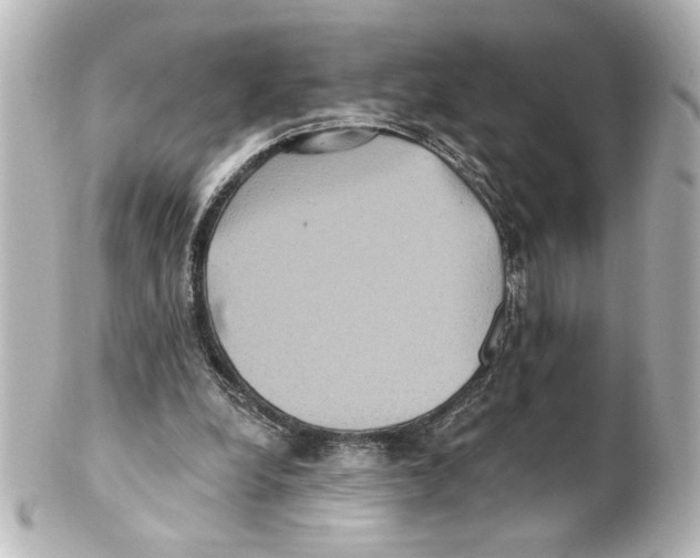 X0000101450248200808041025