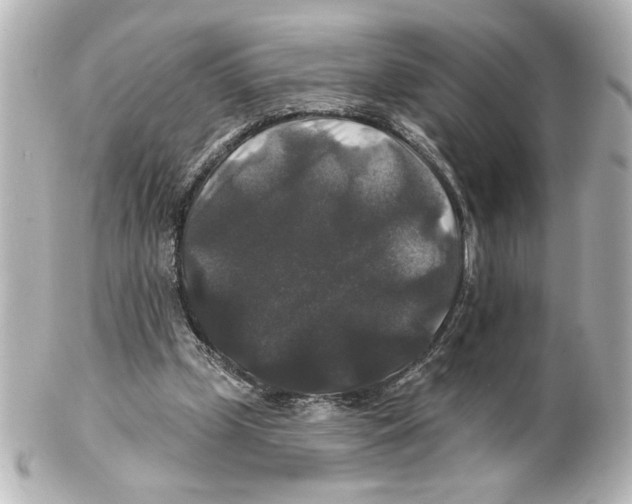 X0000101450249200808041025