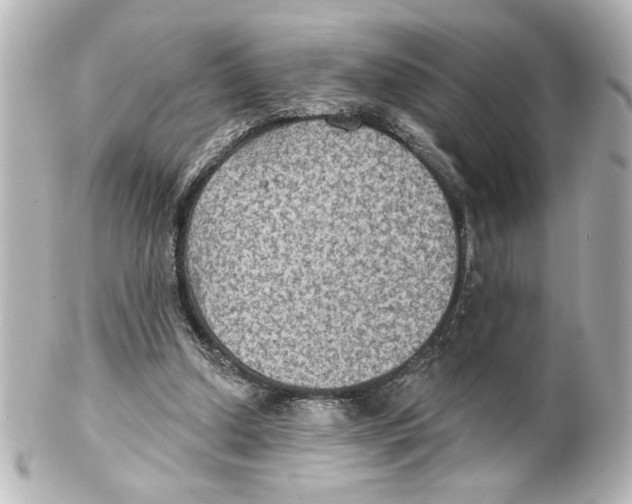 X0000101450250200808041025