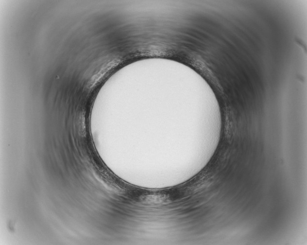 X0000101450251200808041025