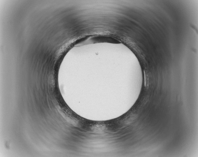 X0000101450252200808041025