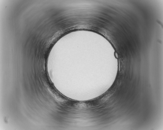 X0000101450253200808041025