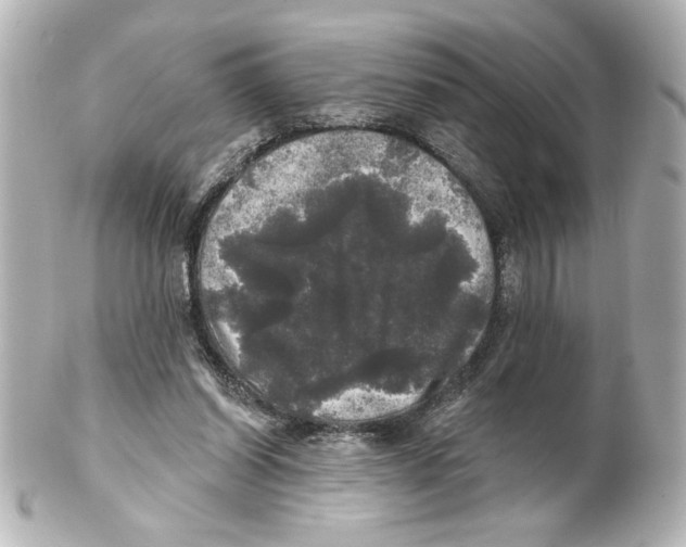 X0000101450254200808041025