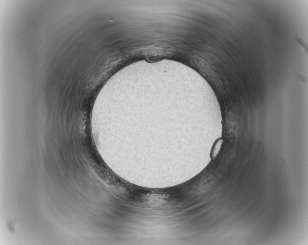 X0000101450255200808041025